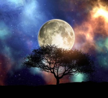 Sunday Romantic Horoskop (1 czerwca): Trzy znaki zodiaku gotowe na transformującą podróż miłosną