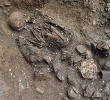 Discovery „Ghost” rodowód ludzi z tybetowymi linkami